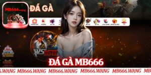 Đá Gà MB666