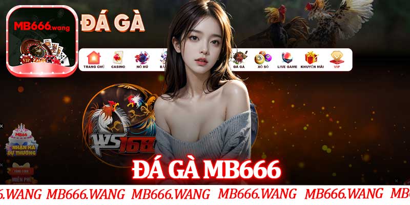 Đá Gà MB666