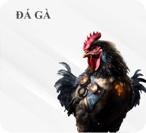 đá gà